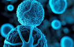 Thermotolerant yeast and efficient fermentation solutions