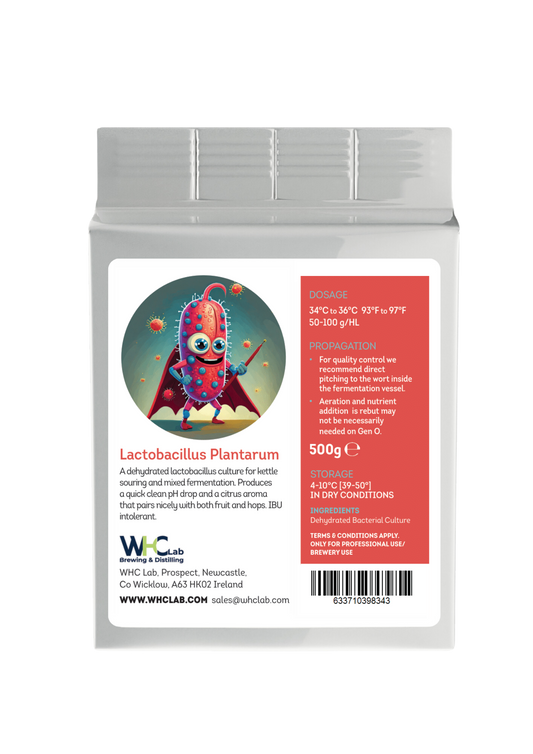 Lactobacillus plantarum Sour Bacteria