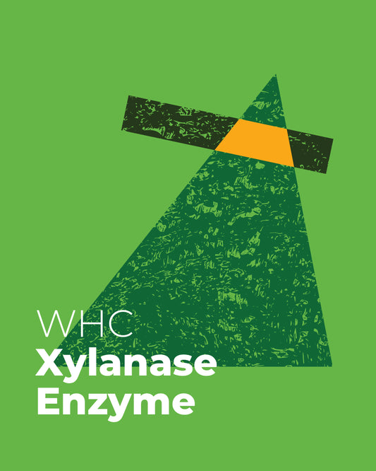 WHC Xylanase